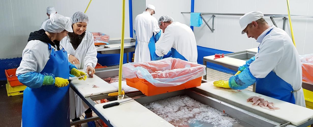 Atelier de découpe de poisson © Panier de la Mer
